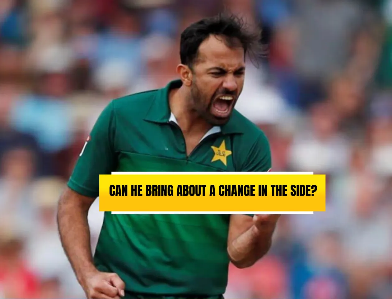 Wahab Riaz (Source: Twitter)