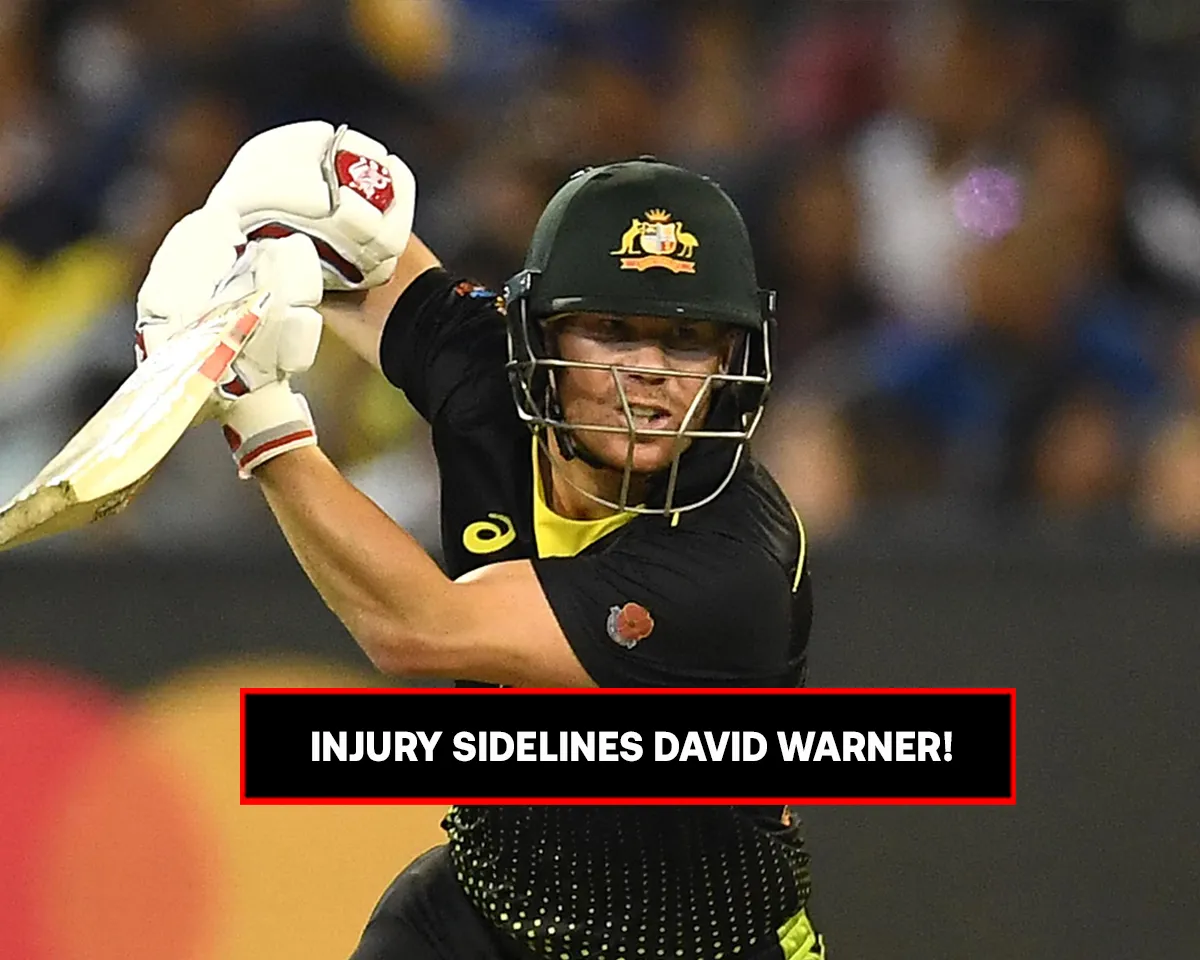 David Warner to miss last T20I match against New Zealand due to injury