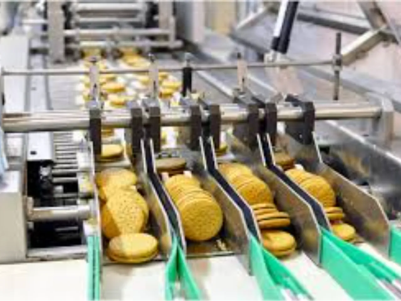 Food Processing Industries