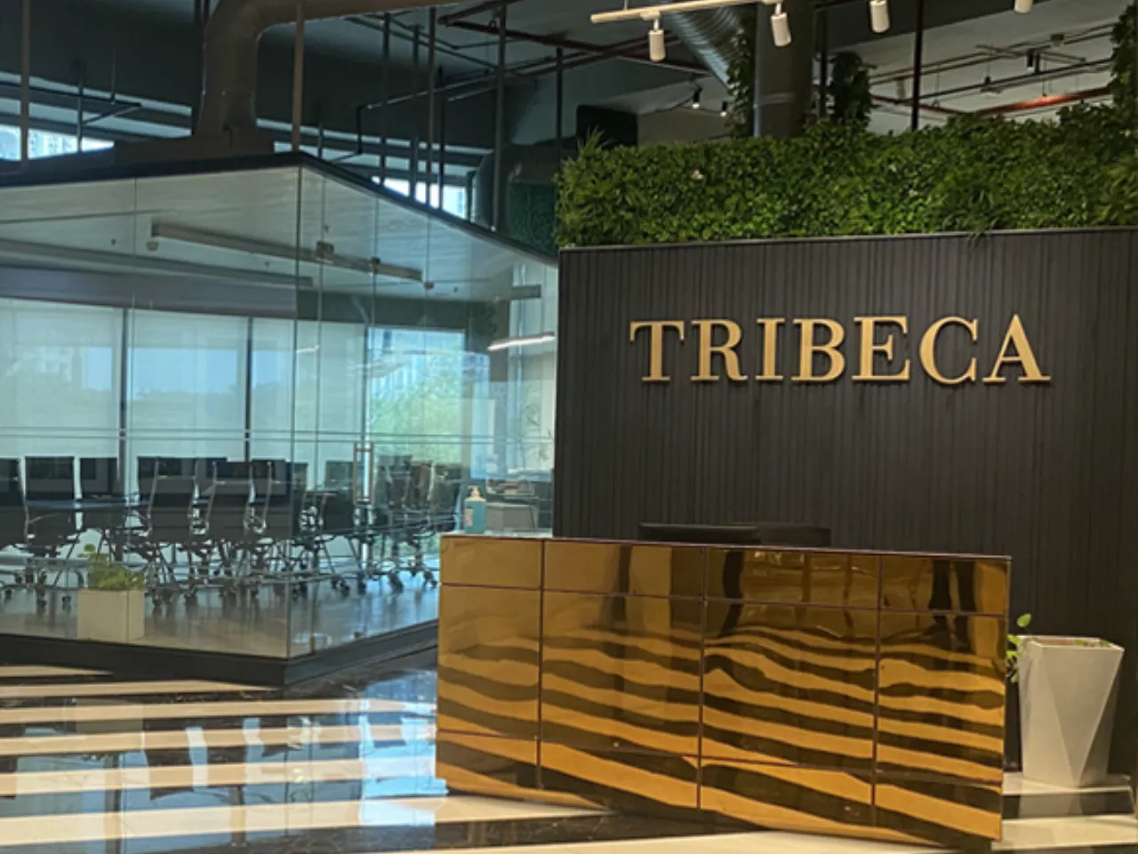 Tribeca Developers