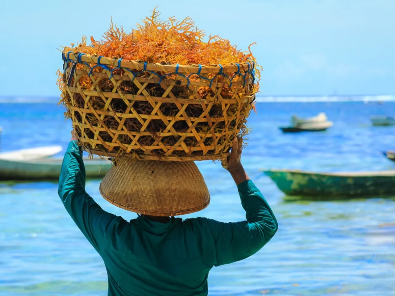 UN Ocean Forum 2025 Explores Sustainable Marine Trade Policies