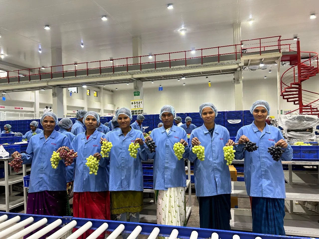 Mahindra Agri Solutions Expands Sustainable Grape Farming Initiatives