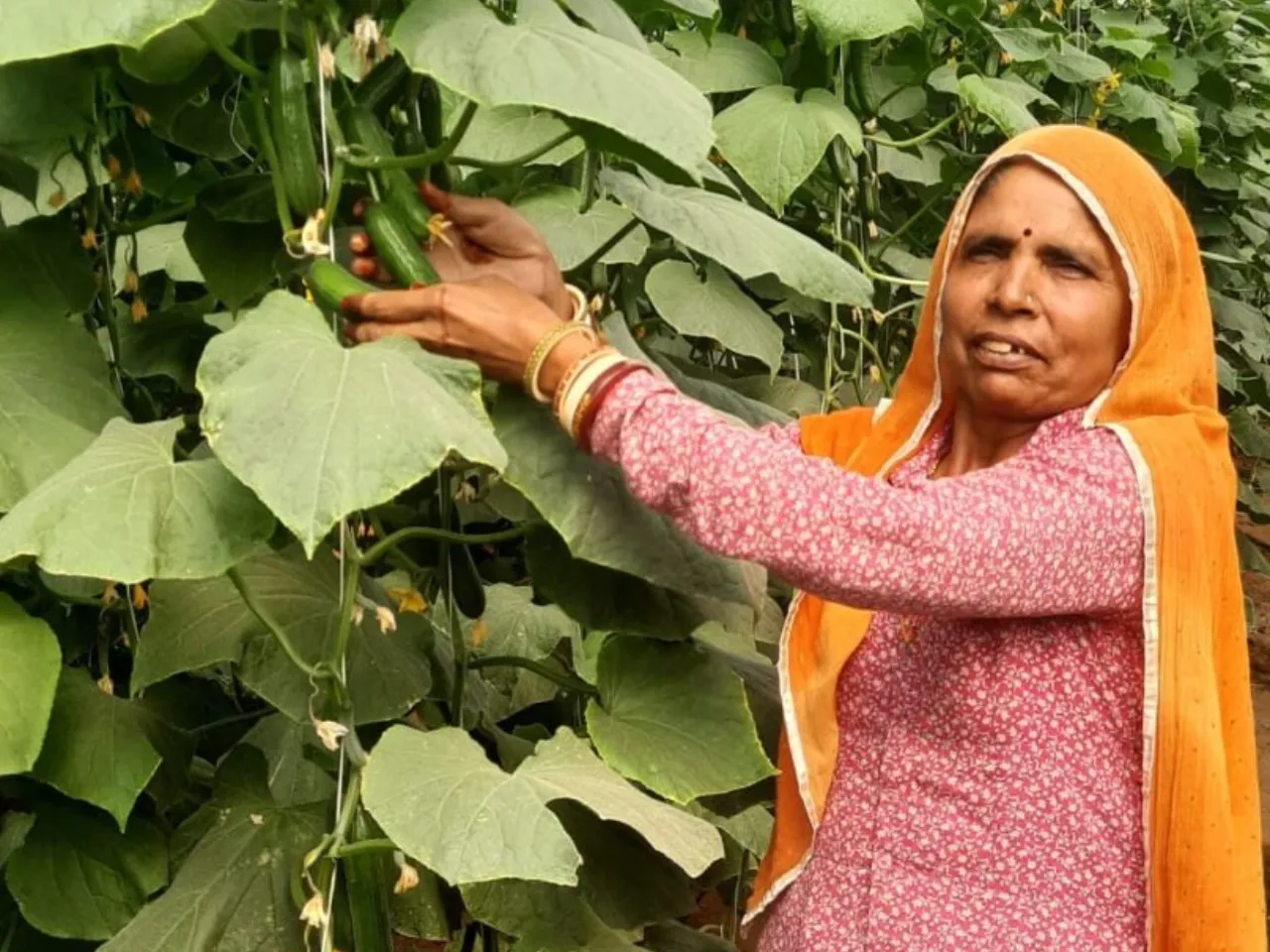 Ambuja Cements Promotes Micro-Irrigation for Farmers in Rajasthan