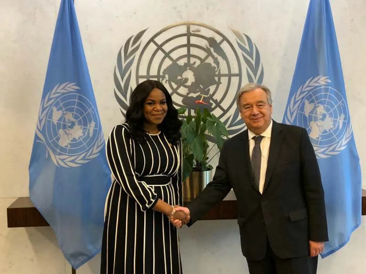 Damilola Ogunbiyi, United Nations