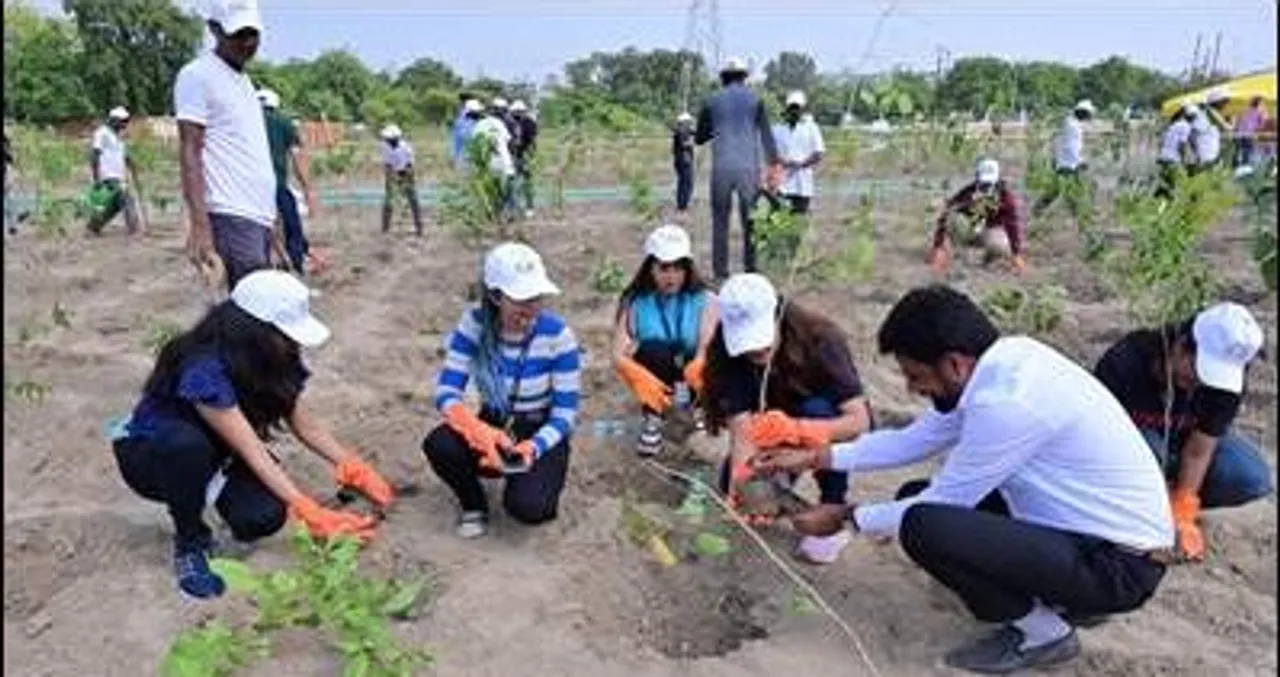 Coforge Initiates Plantation Drive for Biodiversity Park in Noida