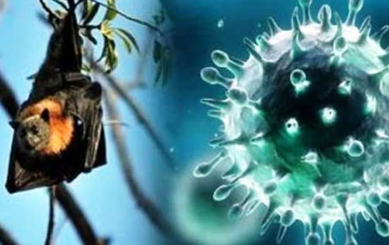 Nipah Virus, UAE Imports