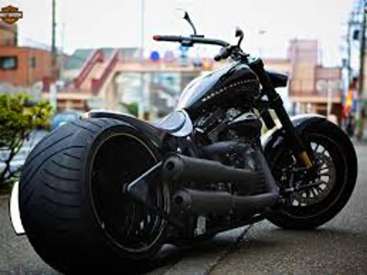 Harley Davidson