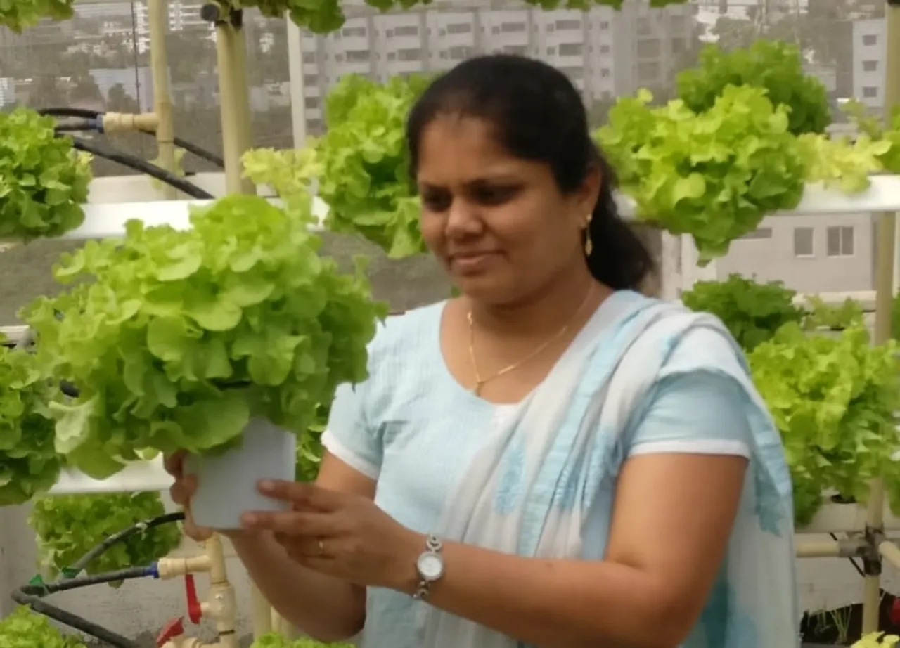 Hydroponic Farming: Innovative & Sustainable Farming