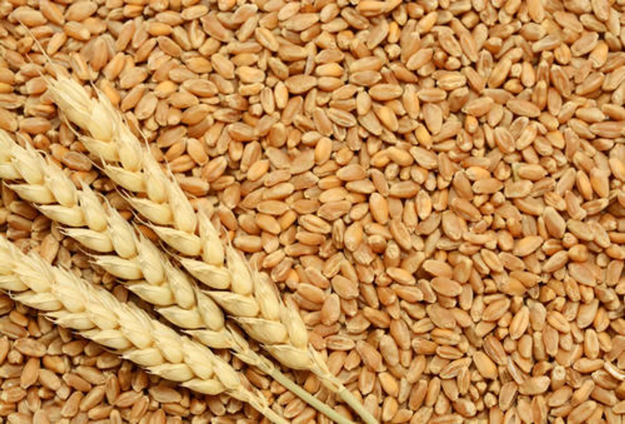 3.85 LMT Wheat Stock Sold for Rs. 901 Crore in Second E-Auction by Food Corporation of India