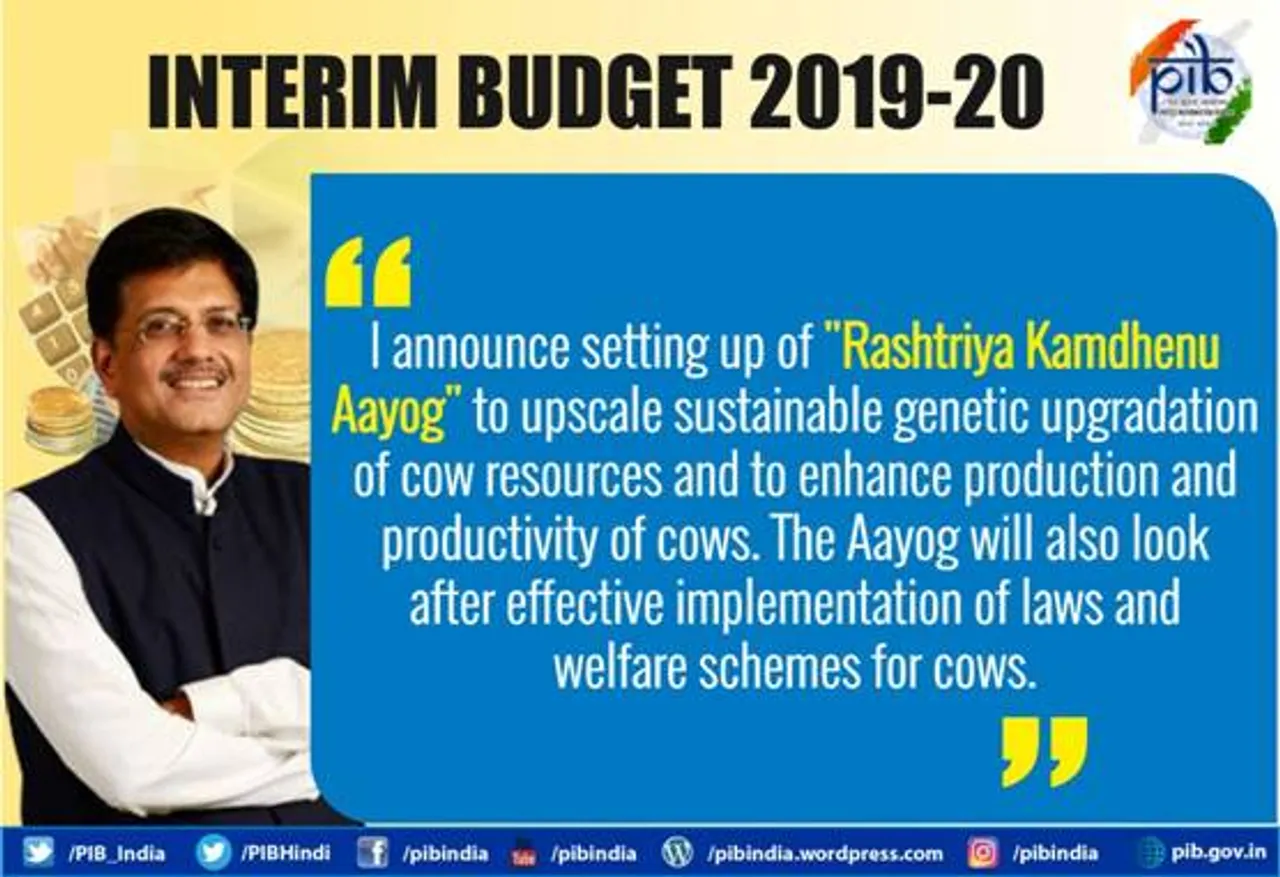 Piyush Goyal, Budget 2019,