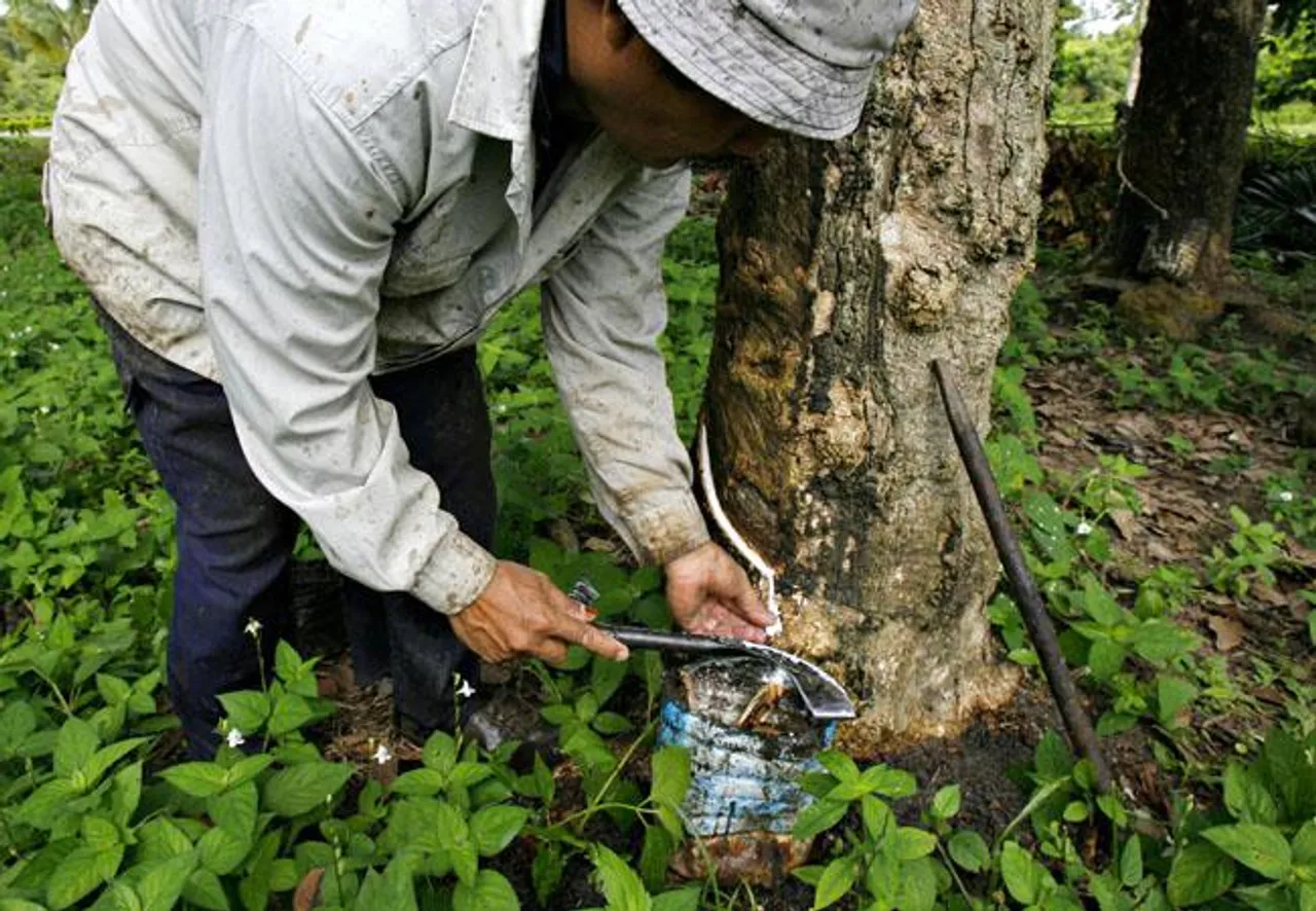 natural rubber, Rubber INdustry