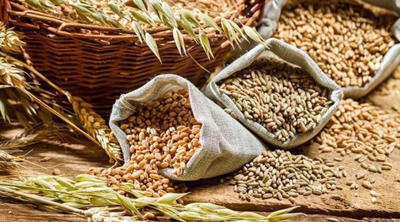 FCI Moves 721 Rakes Carrying 20.19 Lakh MT Food Grains Across The Country