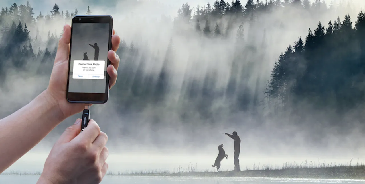 Man playing with his dog by a misty mountain lake with sunbeams in a pine woodland