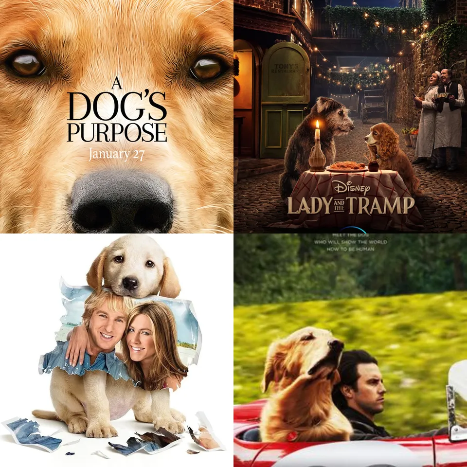 8 heart warming movies through a pet’s pawspective!