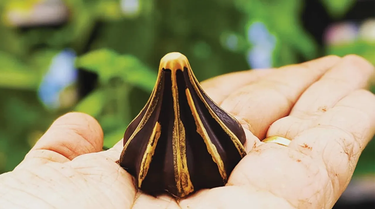 Types of Modak