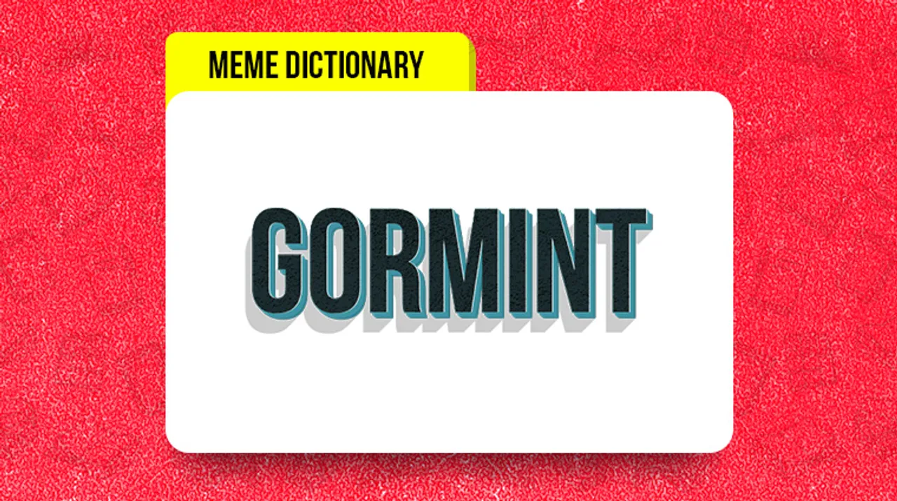 Here’s your guide to using Gormint the right way!