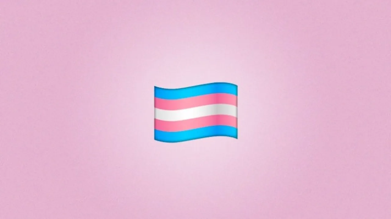 Yay! Inclusive emojis in 2020 to include the Transgender flag too