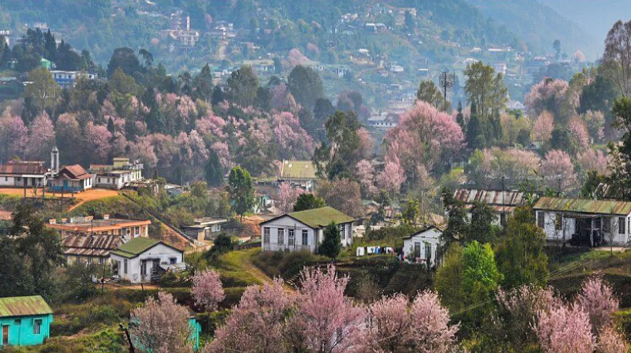 Cancel your Japan vacay and witness India's Cherry Blossom Festival in Shillong