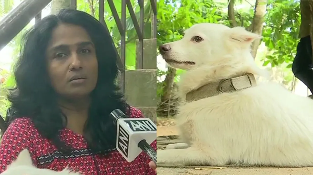 The Curious Case of a Pet Dog and its Owner!