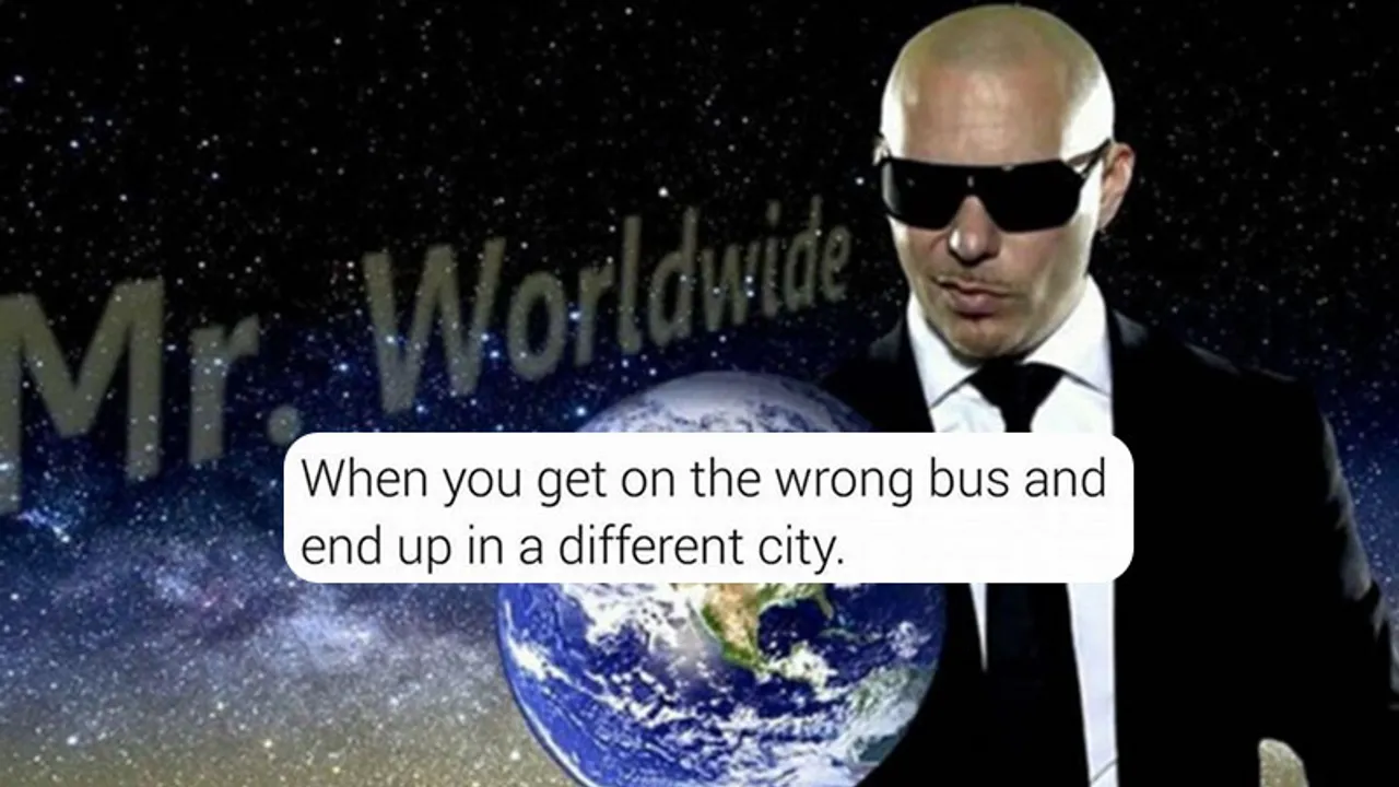 Pitbull memes