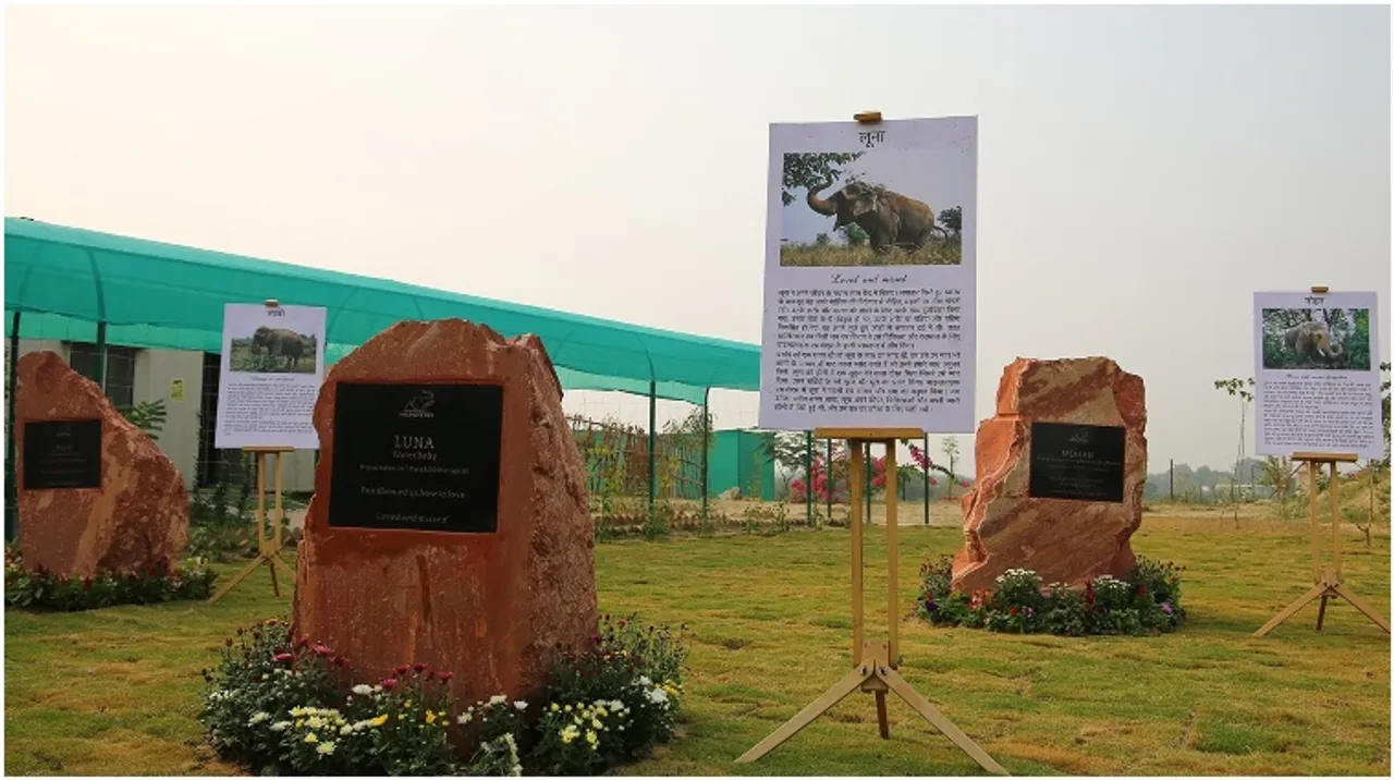 India gets its first Elephant Memorial in Mathura