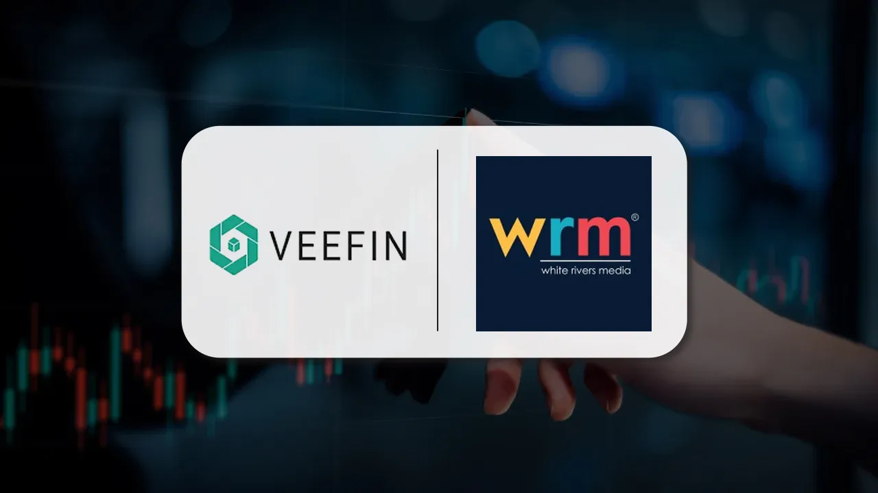 Veefin Group  