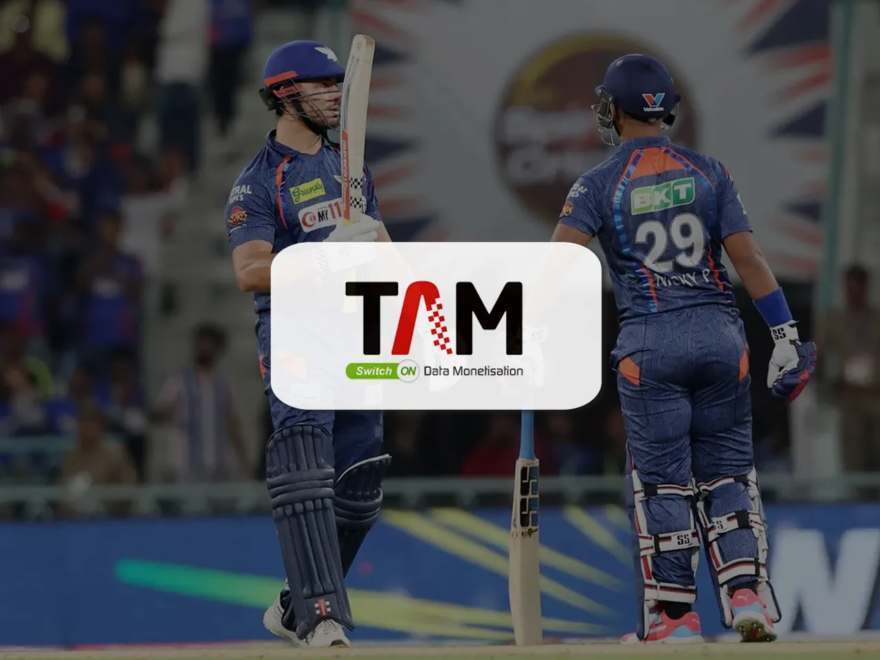 TAM IPL report