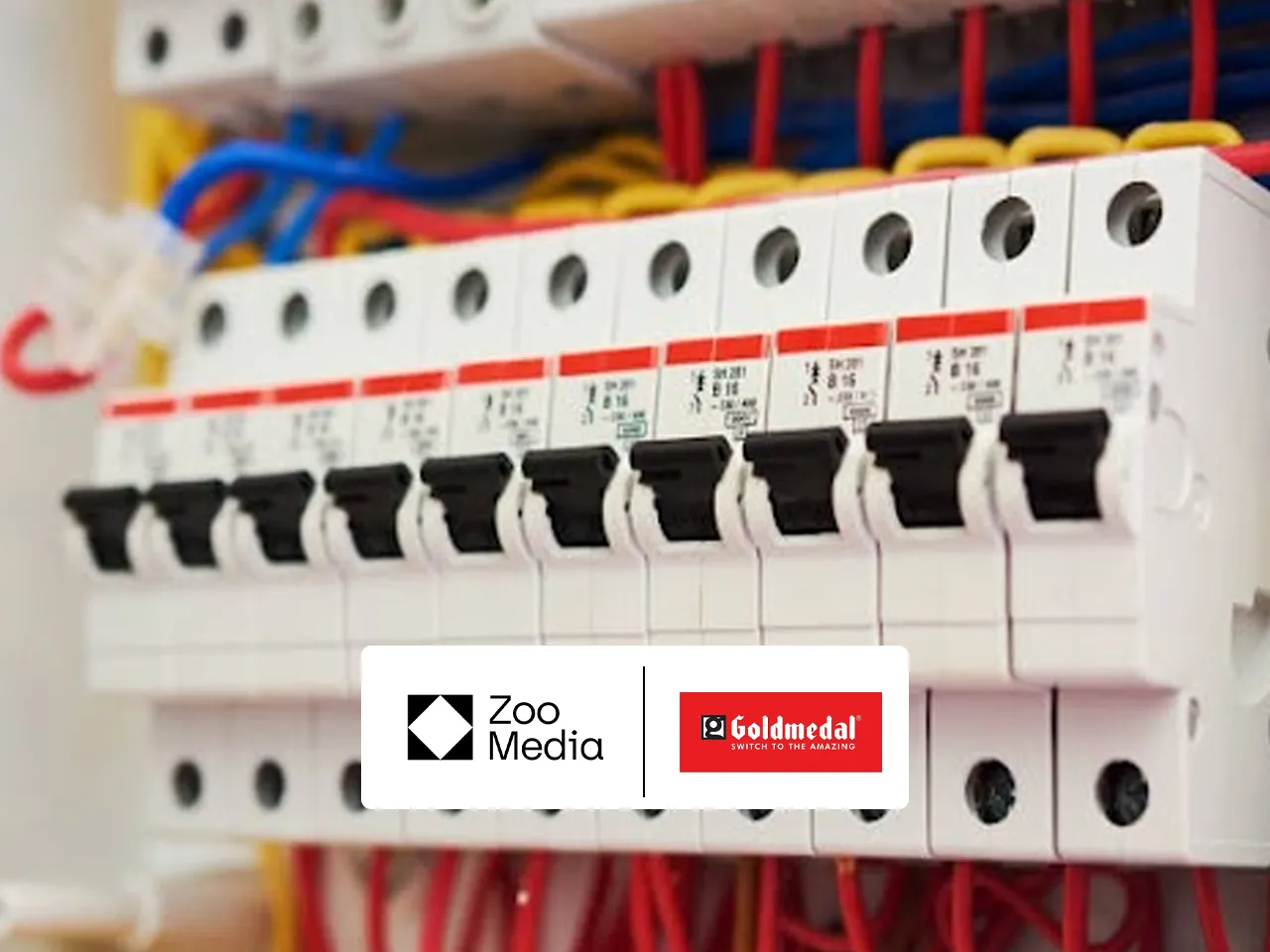 Zoo Media Network wins Goldmedal Electricals' digital mandate