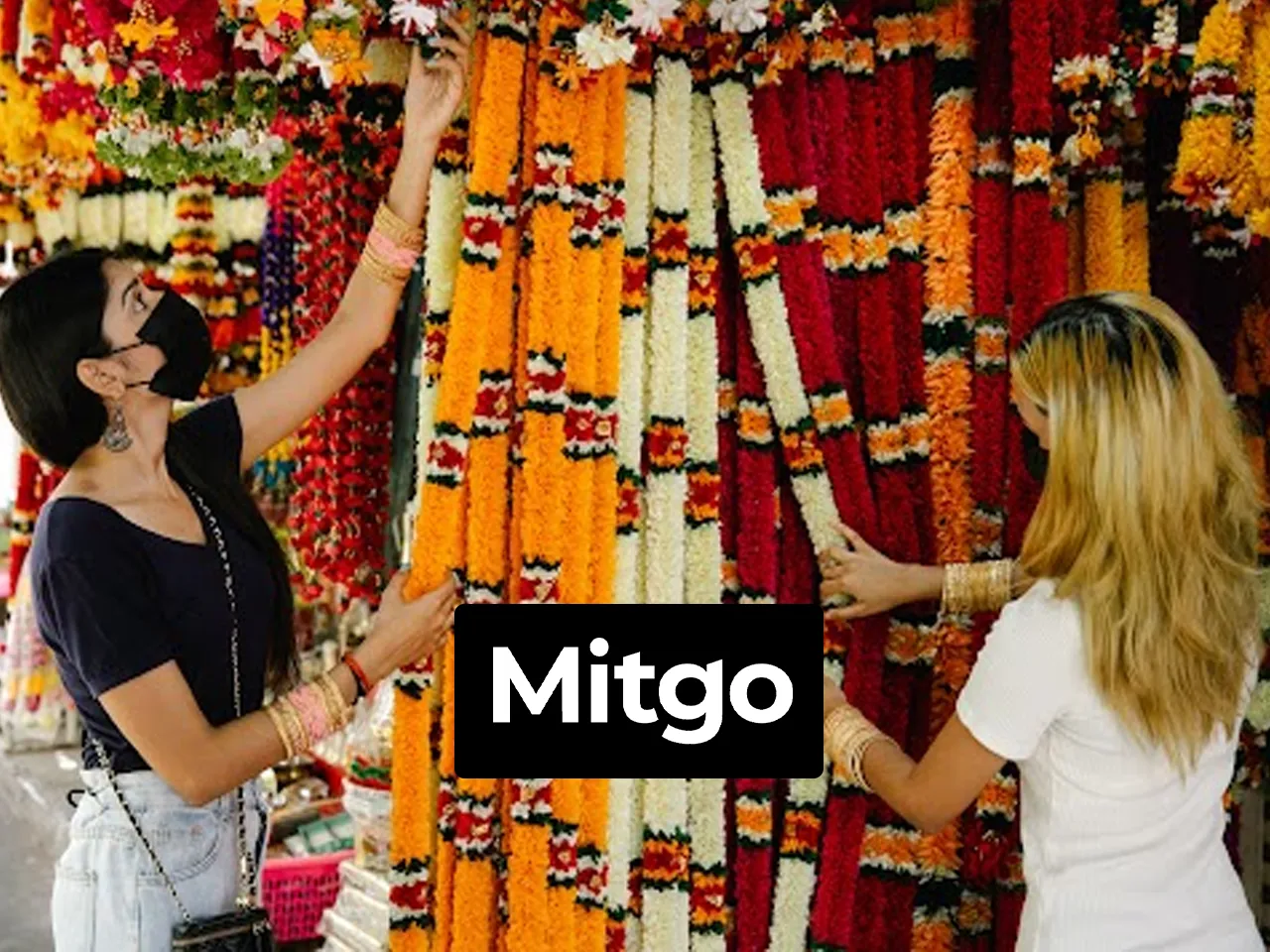 Mitgo report