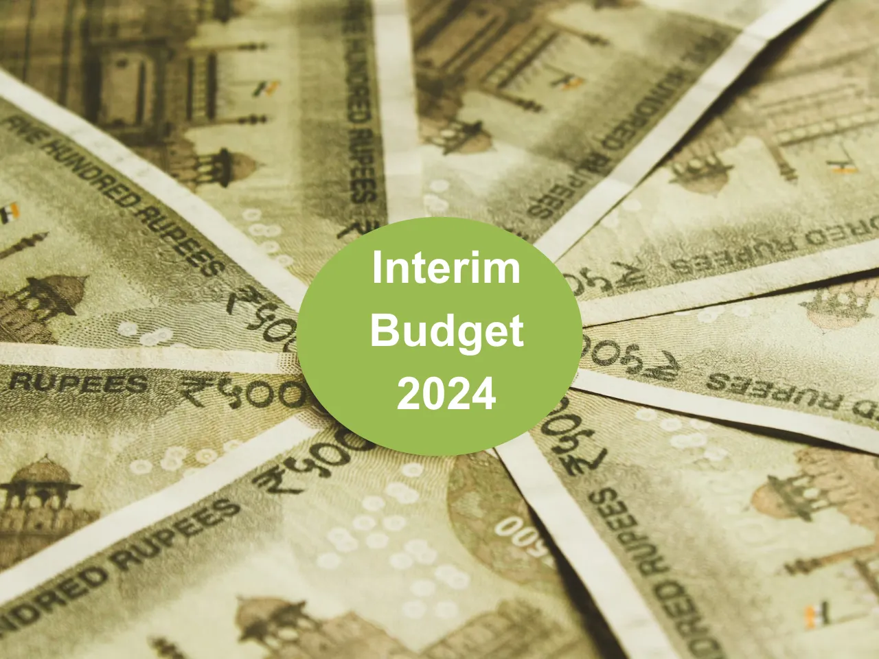 Advertising and marketing industry welcomes interim budget 2024-25