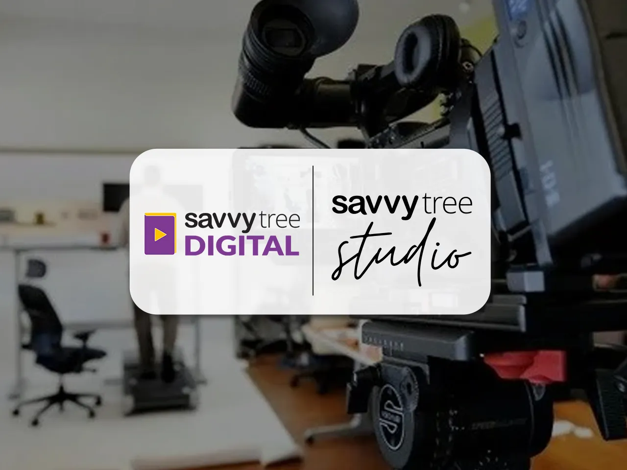 Savvytree launches Savvytree Studio and Savvytree Digital