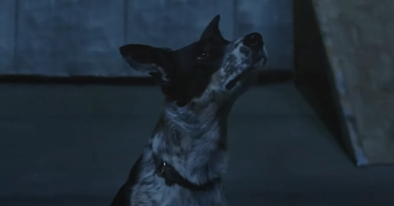 Pedigree advocates pet adoption in latest campaign with fantasy story-telling