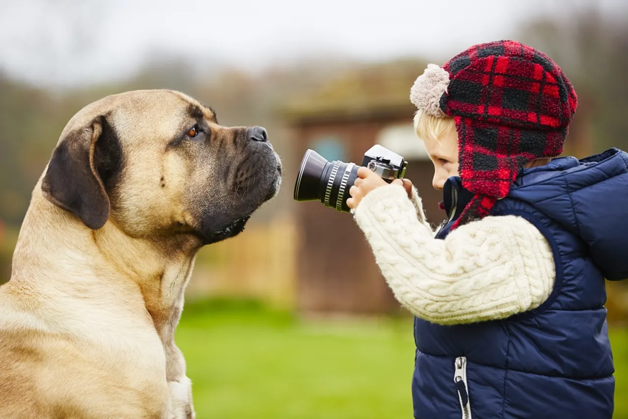 Royal Canin crowd-sources pet calendar to enhance digital footprint