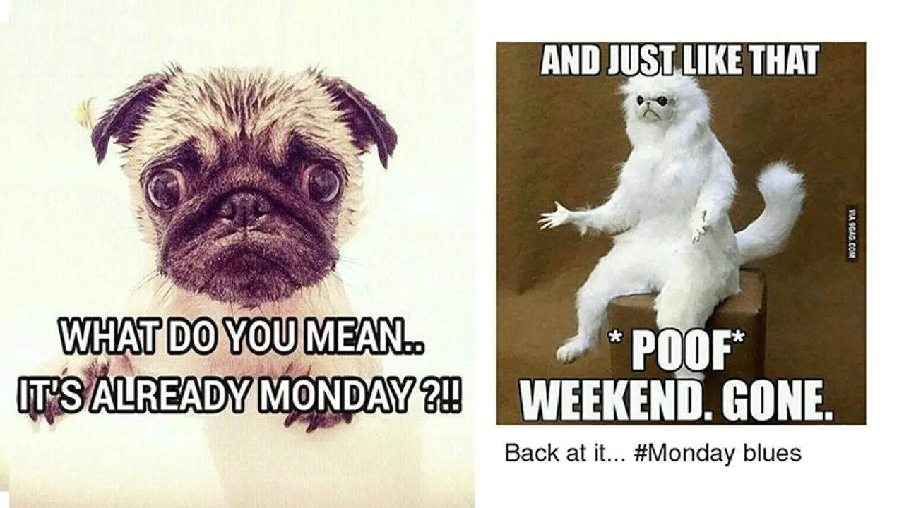 These painfully funny Monday memes are so accurate that it hurts a little!