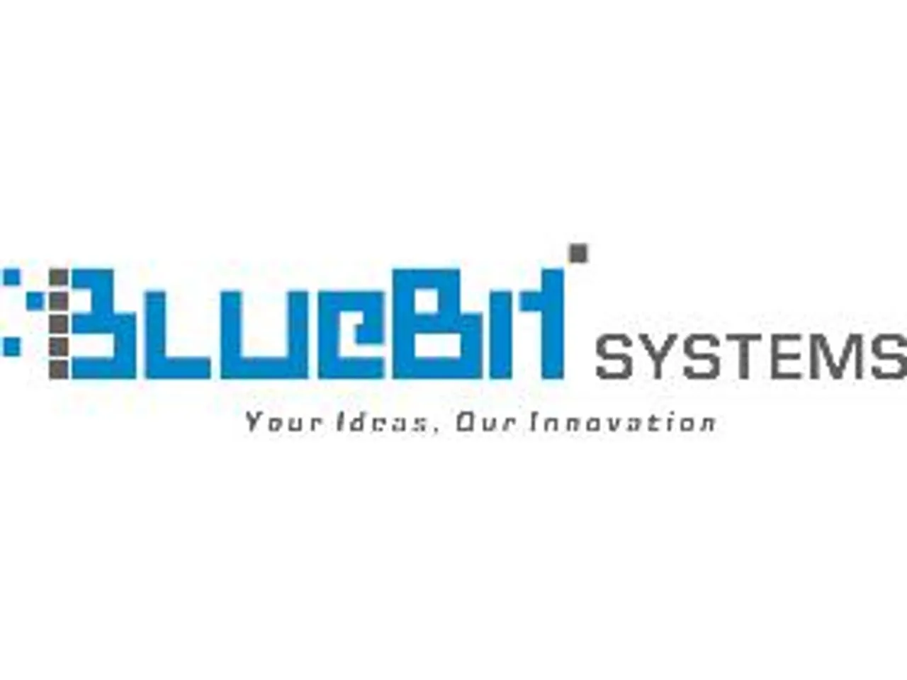 Social Media Agency Feature: BlueBit Systems
