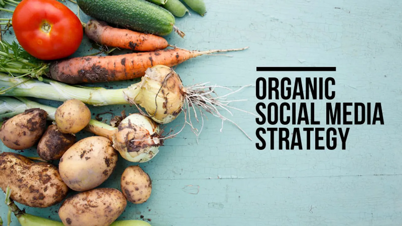Organic Social Media Strategy
