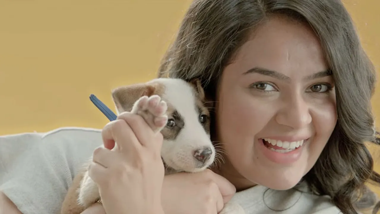 Pedigree Branded content