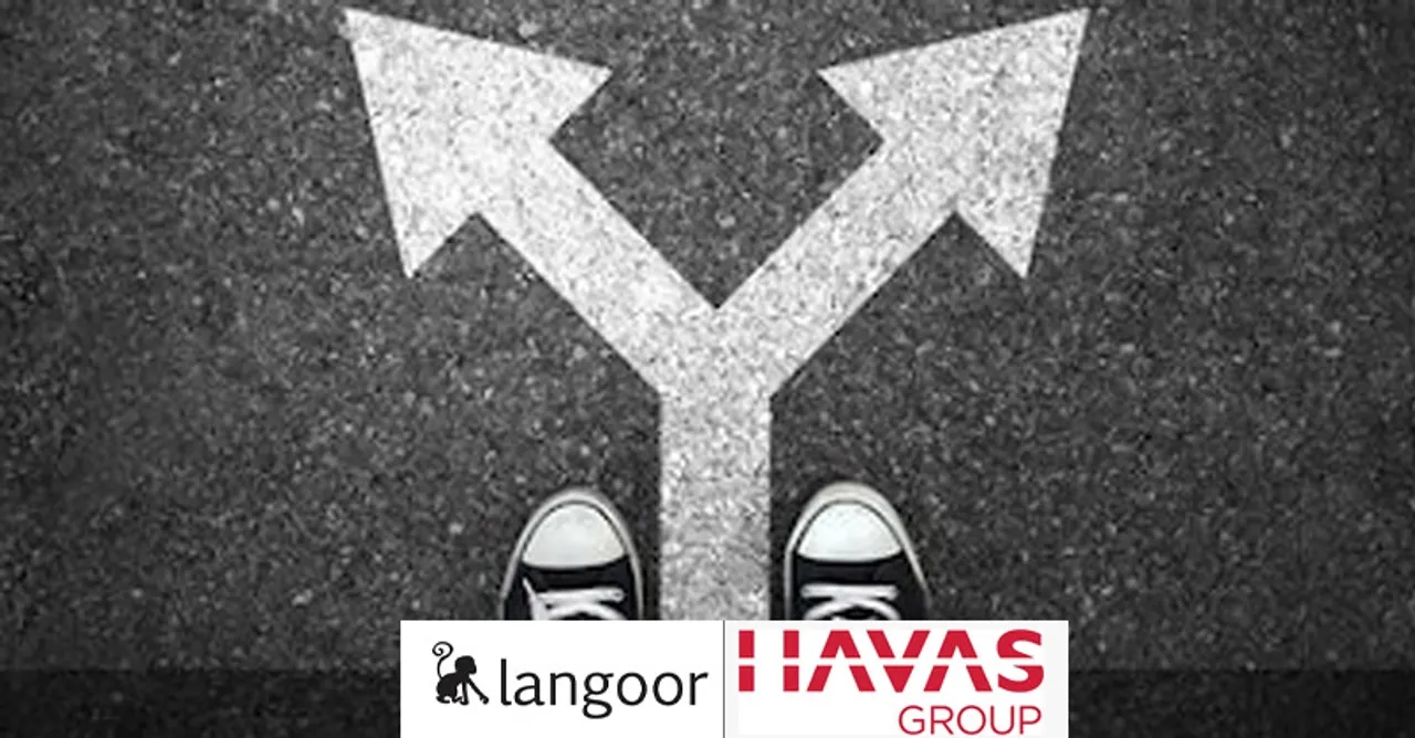 Havas Langoor