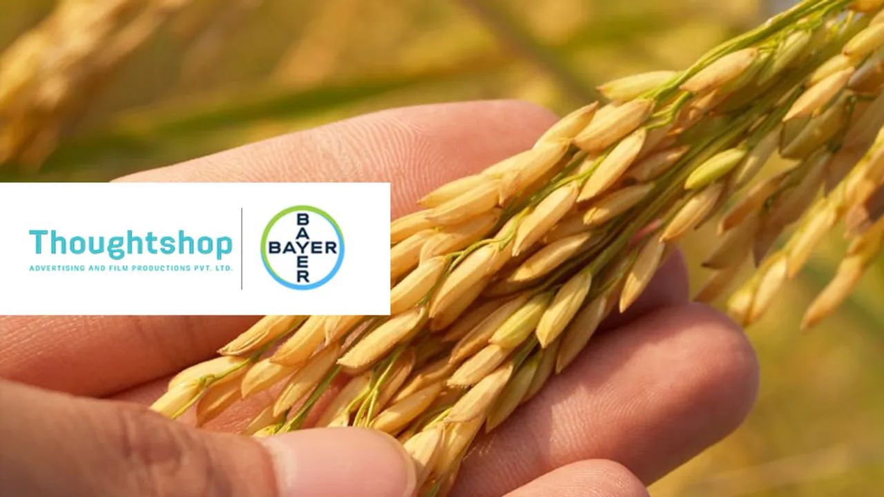 Thoughtshop Advertising wins Bayer's creative mandate for Arize hybrid rice seeds