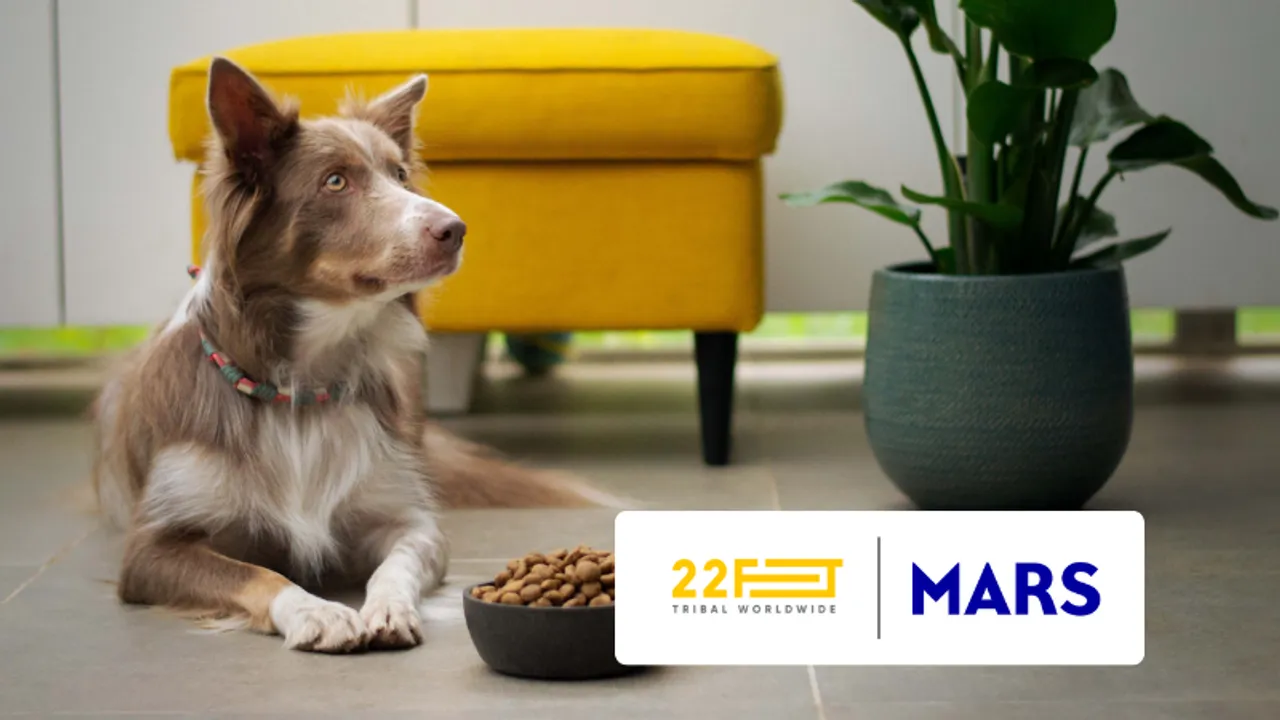 22feet Tribal Worldwide bags the digital mandate for Mars Petcare