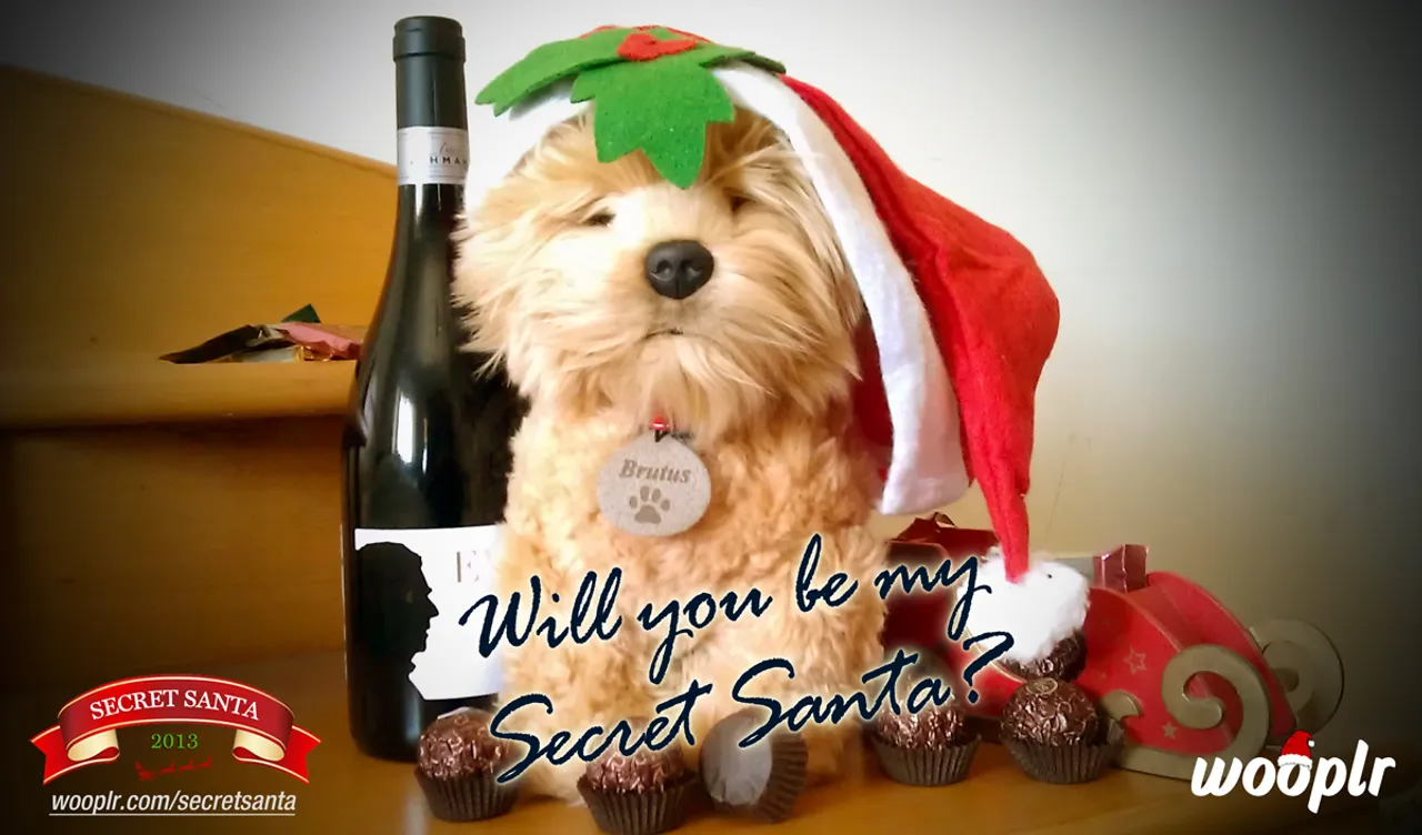 Social Media Case Study : How Wooplr Takes the Secret Santa Tradition Online