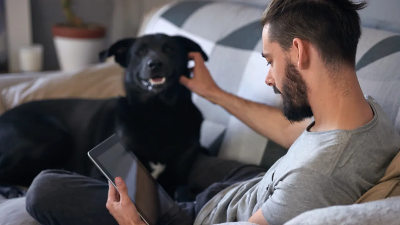 #HomesThatDontDiscriminate: NestAway extends the humour route with a solution for pet friendly homes