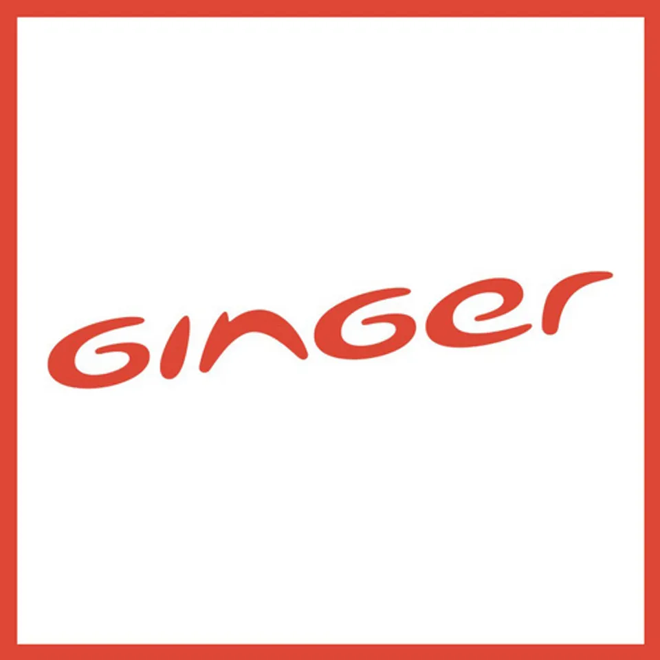 Ginger Hotels