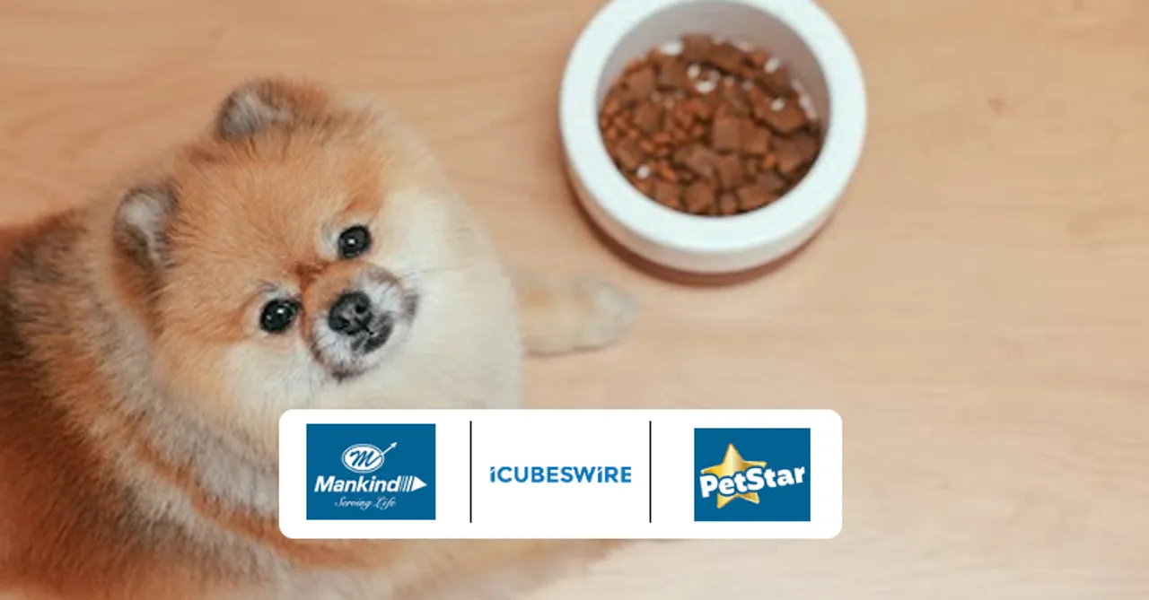 iCubesWire wins creative and digital media mandate for PetStar