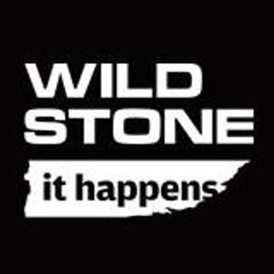 How Wild Stone Engaged its Fans with Valentines Day Rule Book