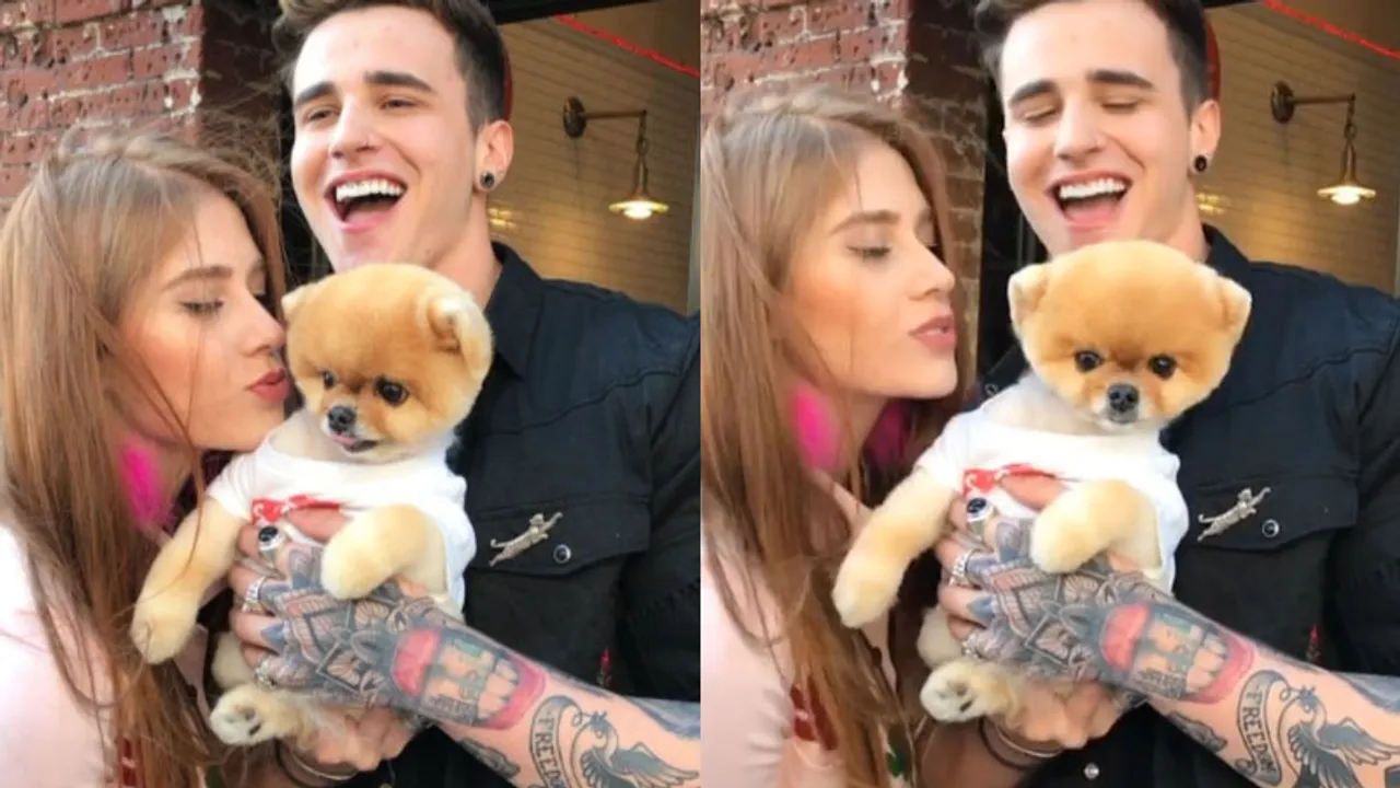 Data: Jiffpom the most followed pet on Instagram in 2017!