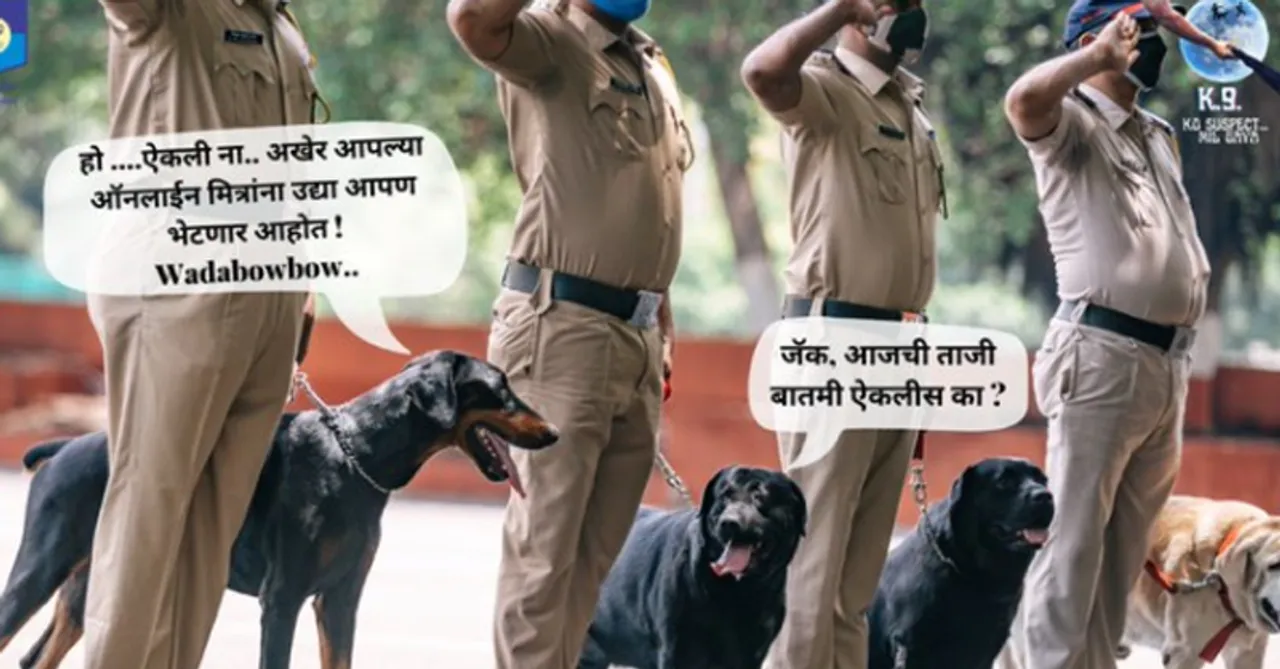 Police dog creatives