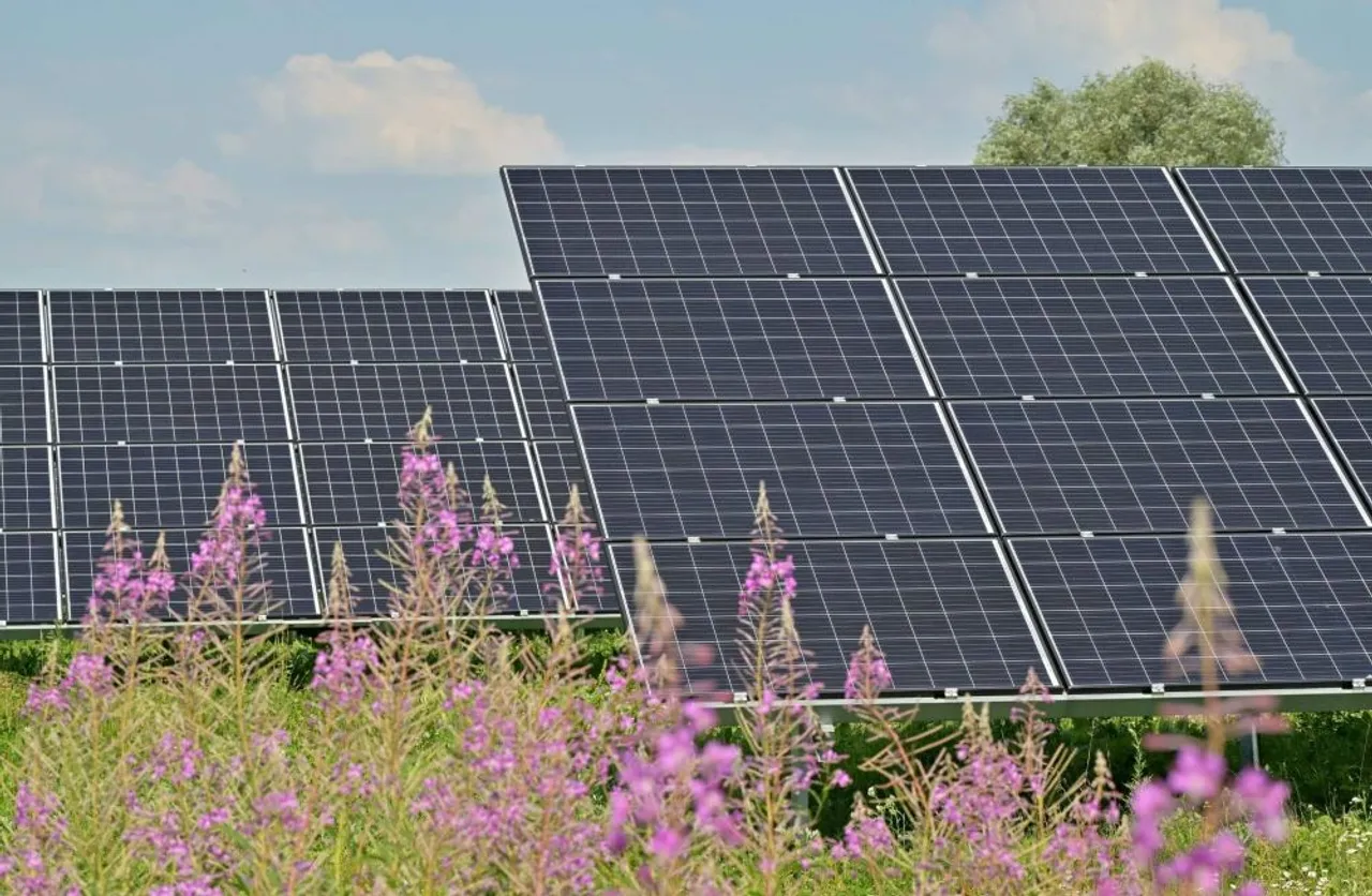 Exagen’s Holly Lane Energy Park got approval in 2025 and aims for a 2027 grid connection, supplying 6% of Solihull’s 2041 target. 