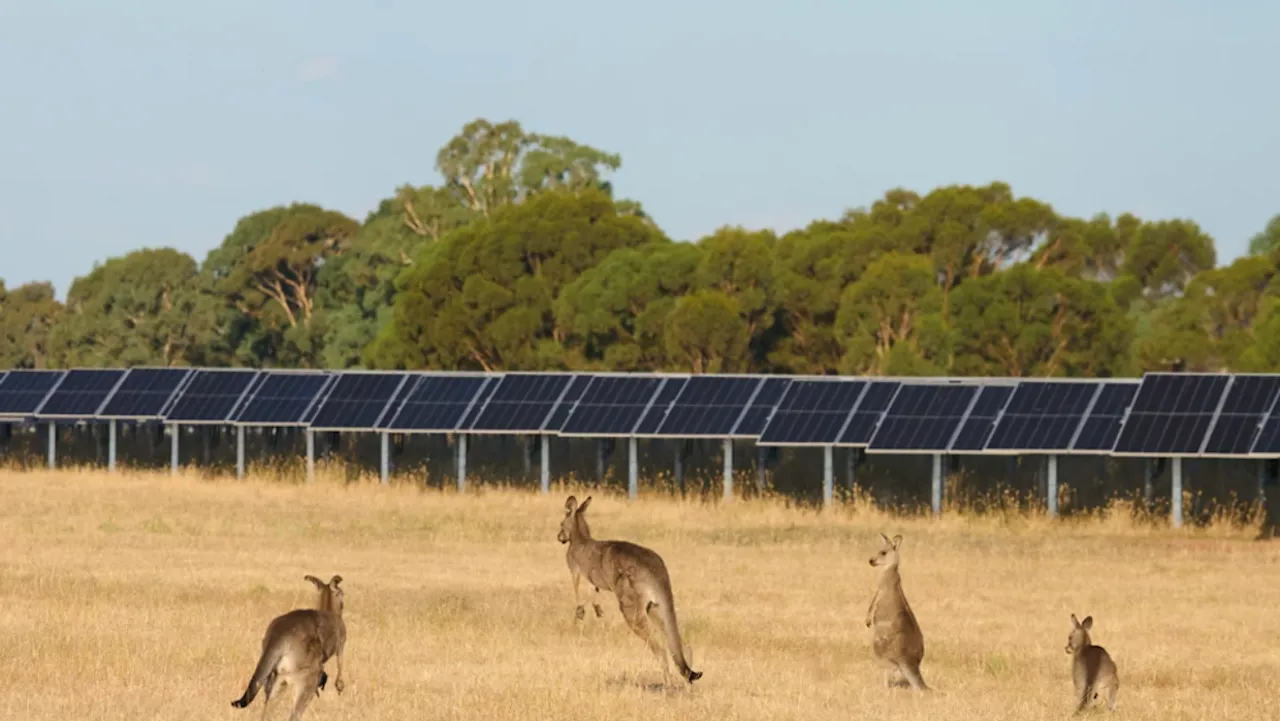 The 58 MW Mokoan Solar Park is in Victoria and is now successfully connected to the Australian grid. 