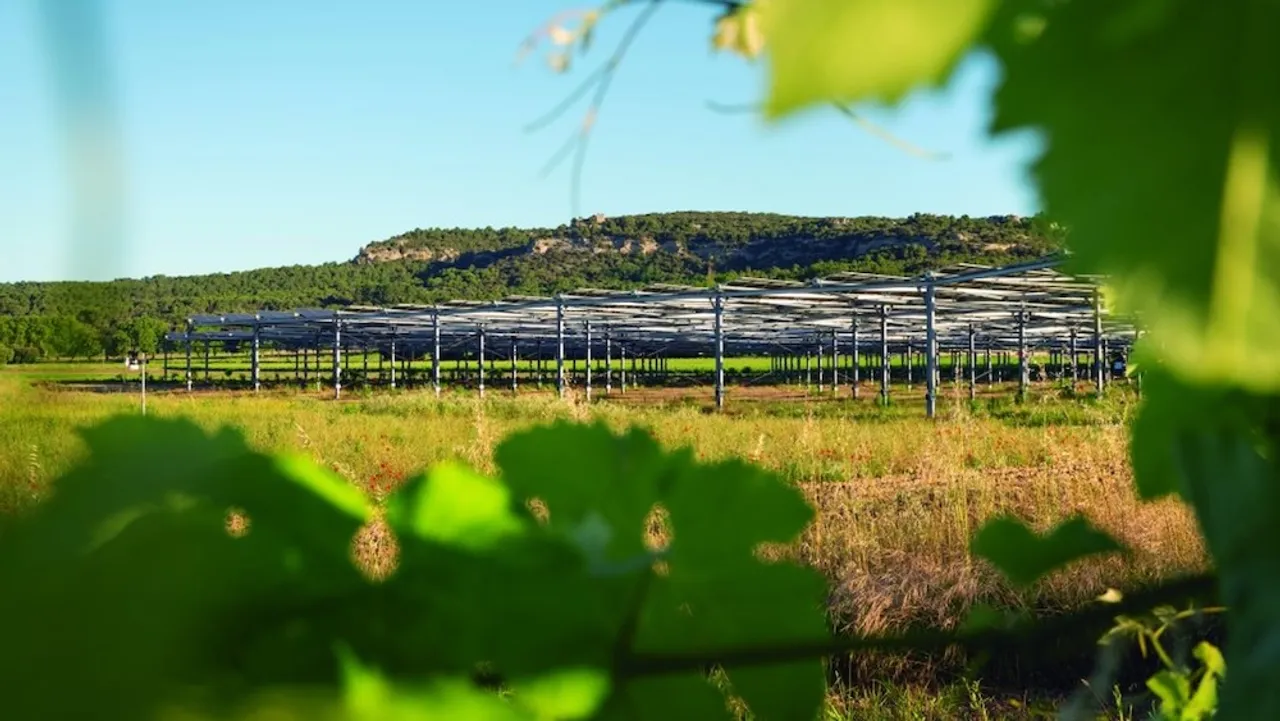 The new Axial Agrivoltaics Trackers are height-adjustable from 1.3 to 2.1 meters, allowing smooth passage for machinery and livestock without disrupting operations.